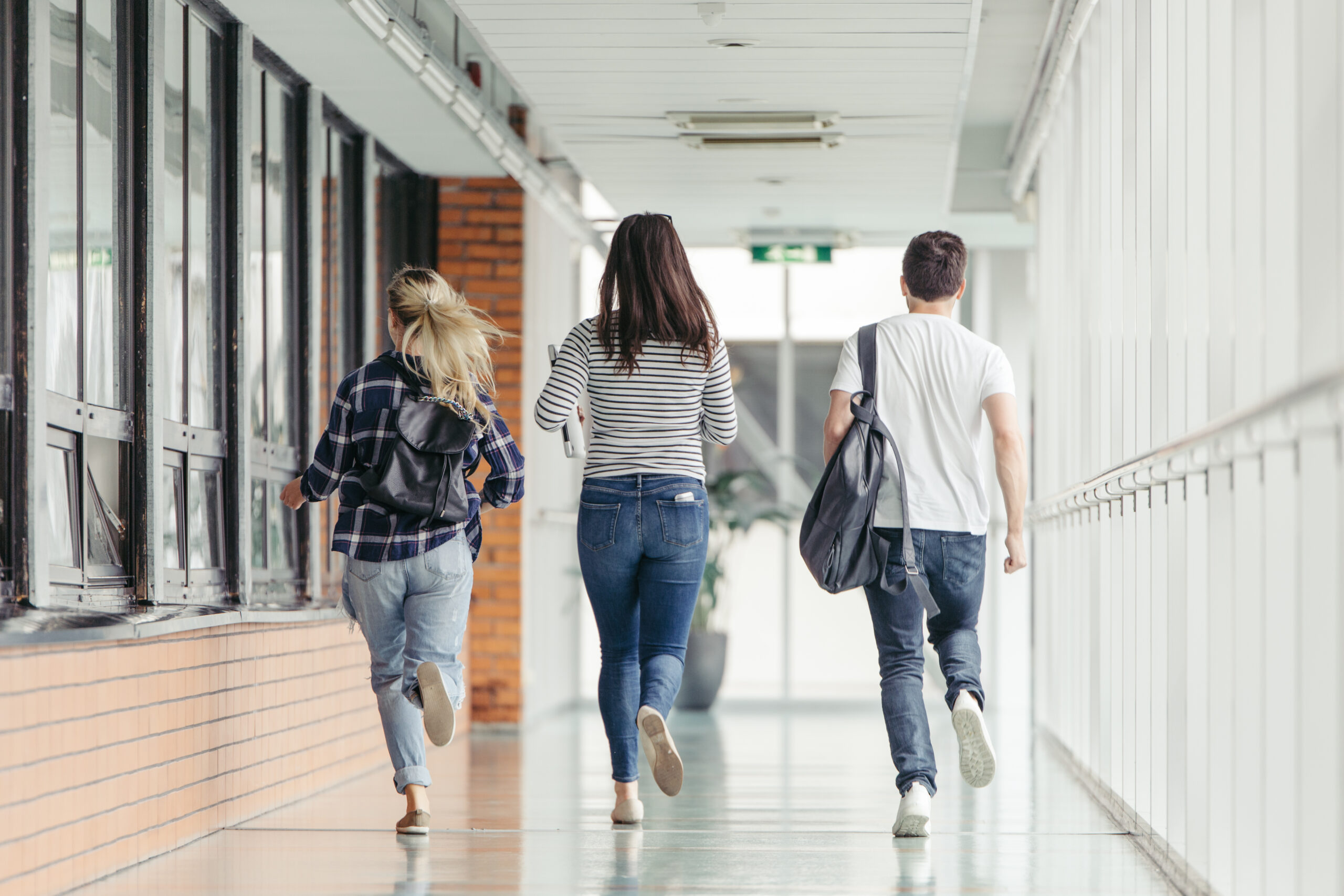 Actualité Passer de l’université à l’alternance, il n’y a qu’un pas !