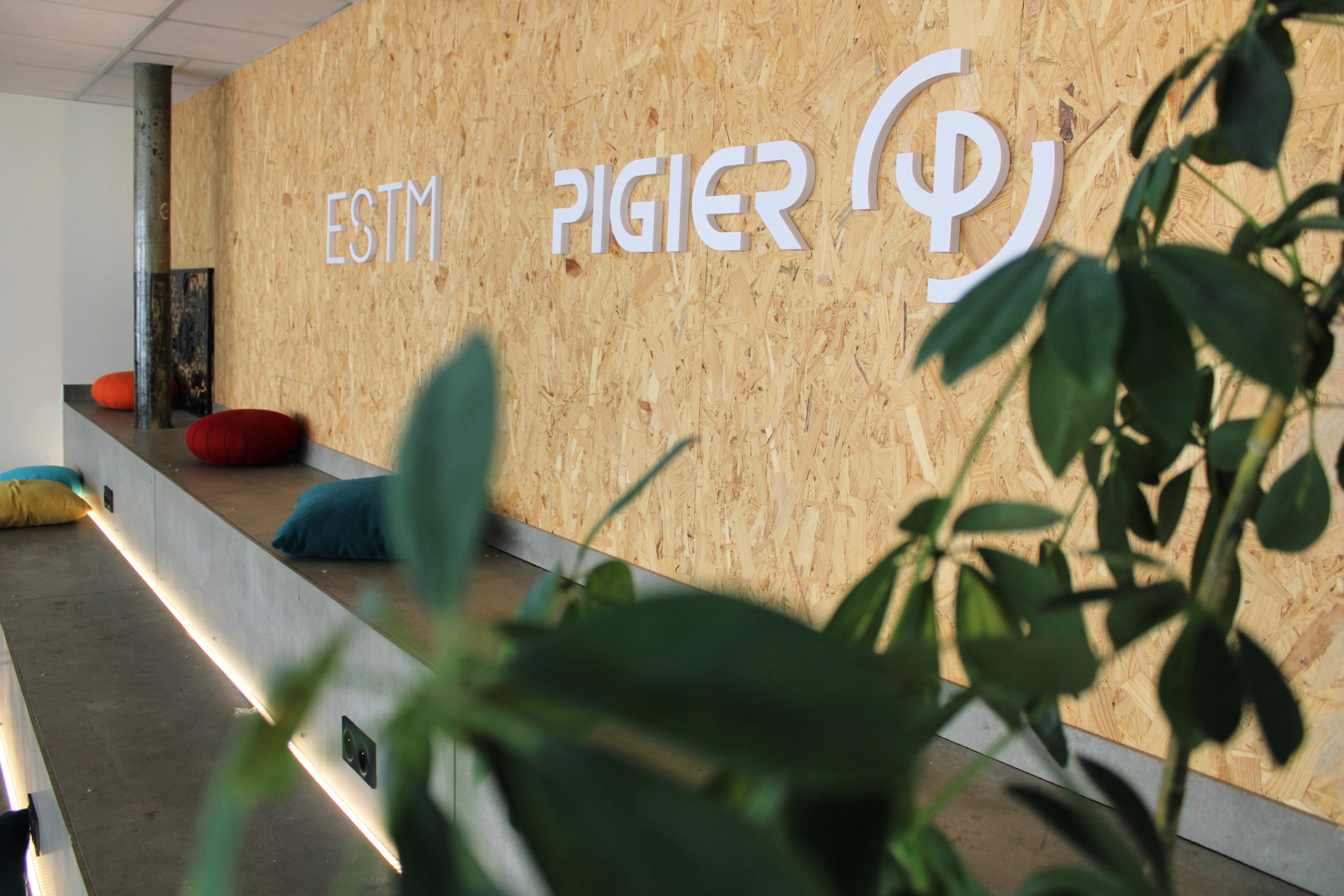 Accompagnement - Accessibilité handicap